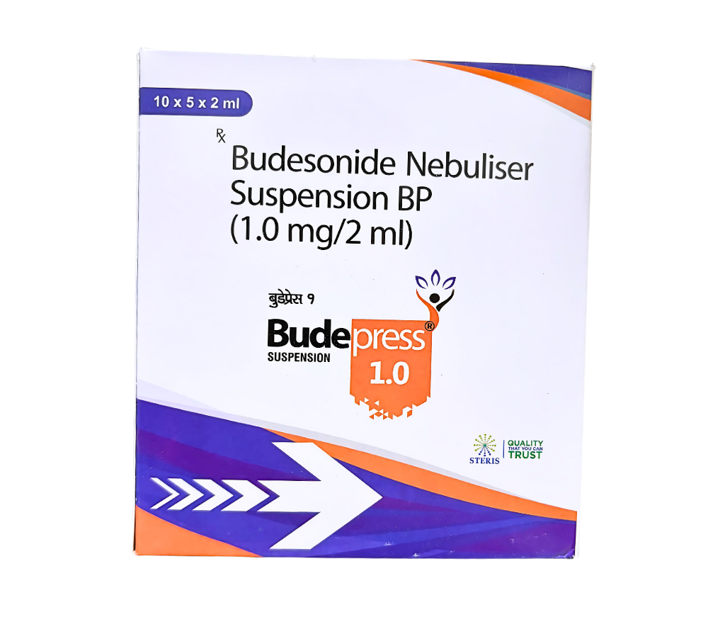 R.S. Budepress 1.0 view 2