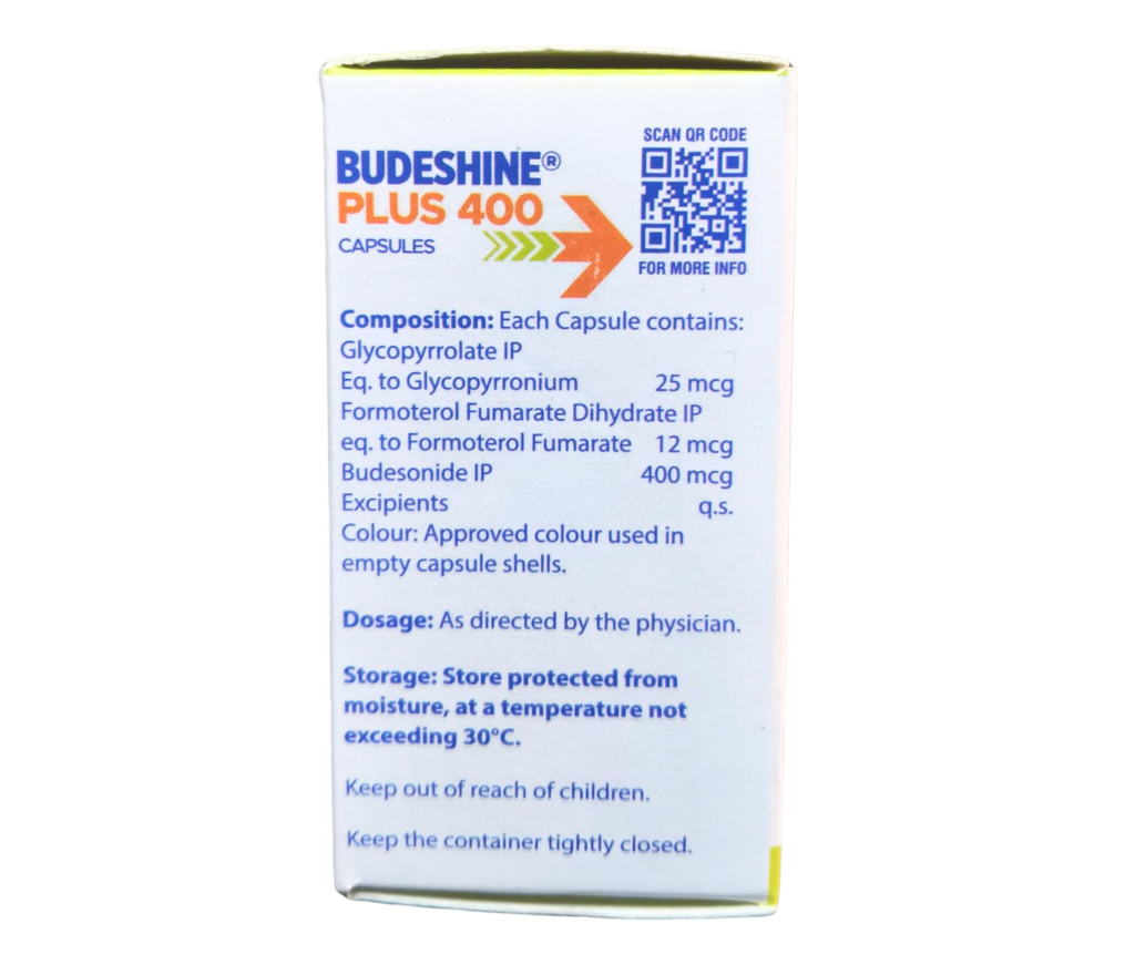 Budeshine Plus 400 view 4