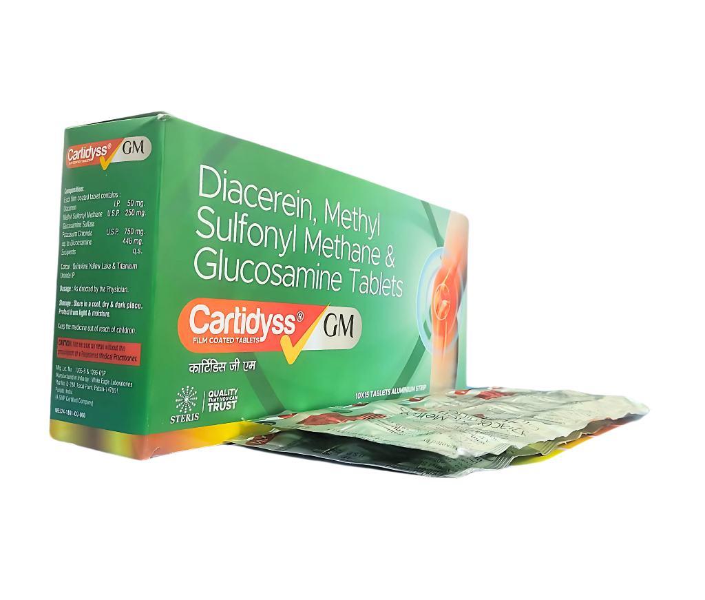 Cartidyss GM view 2