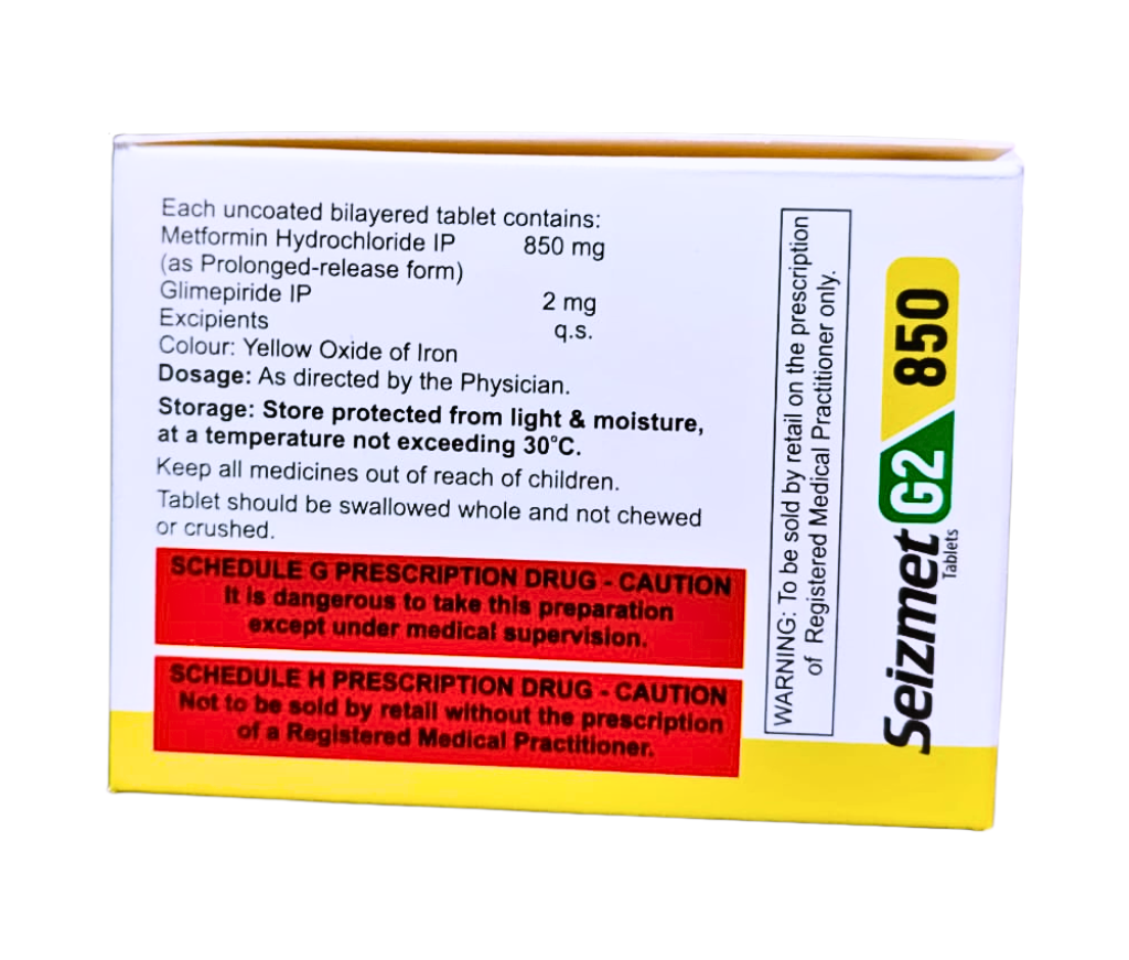Seizmet G2 850 view 3