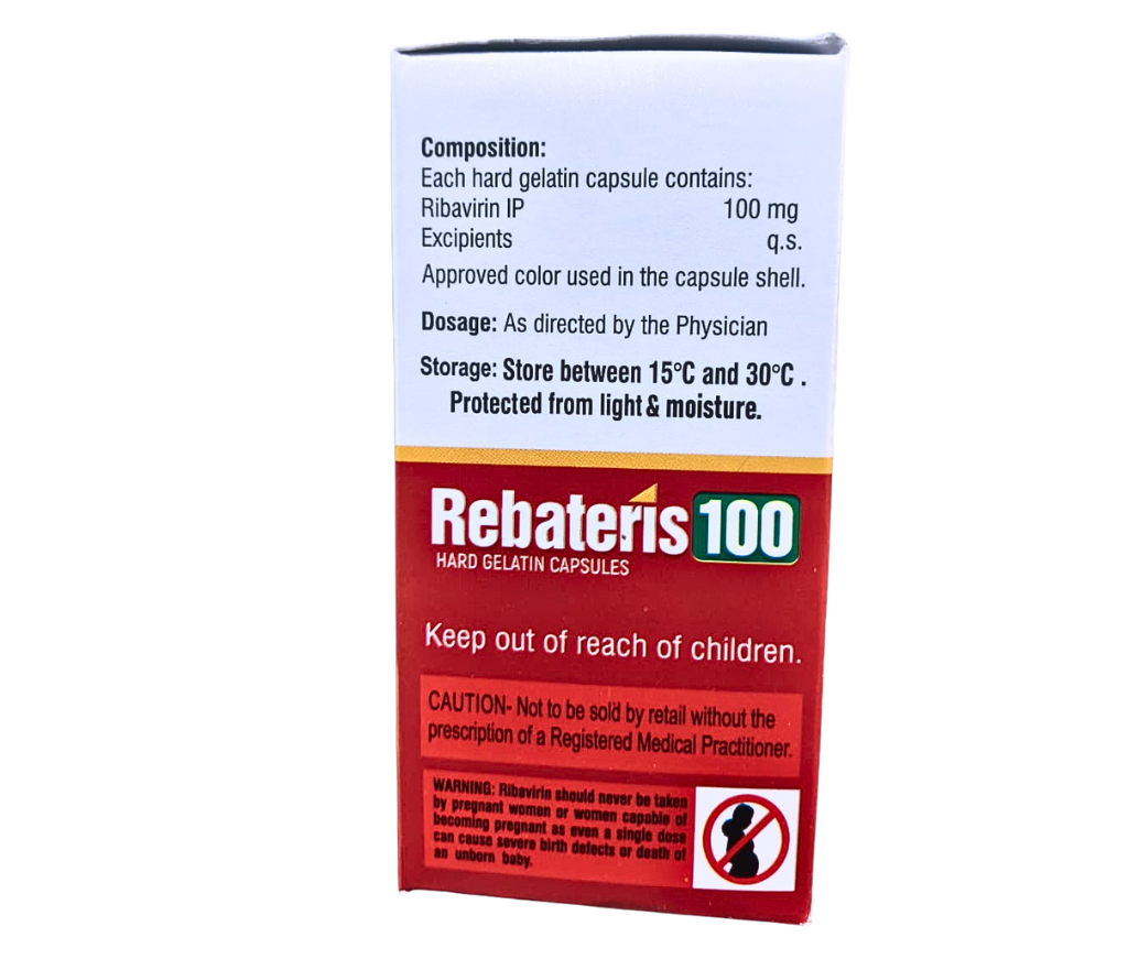 REBATERIS 100 view 3
