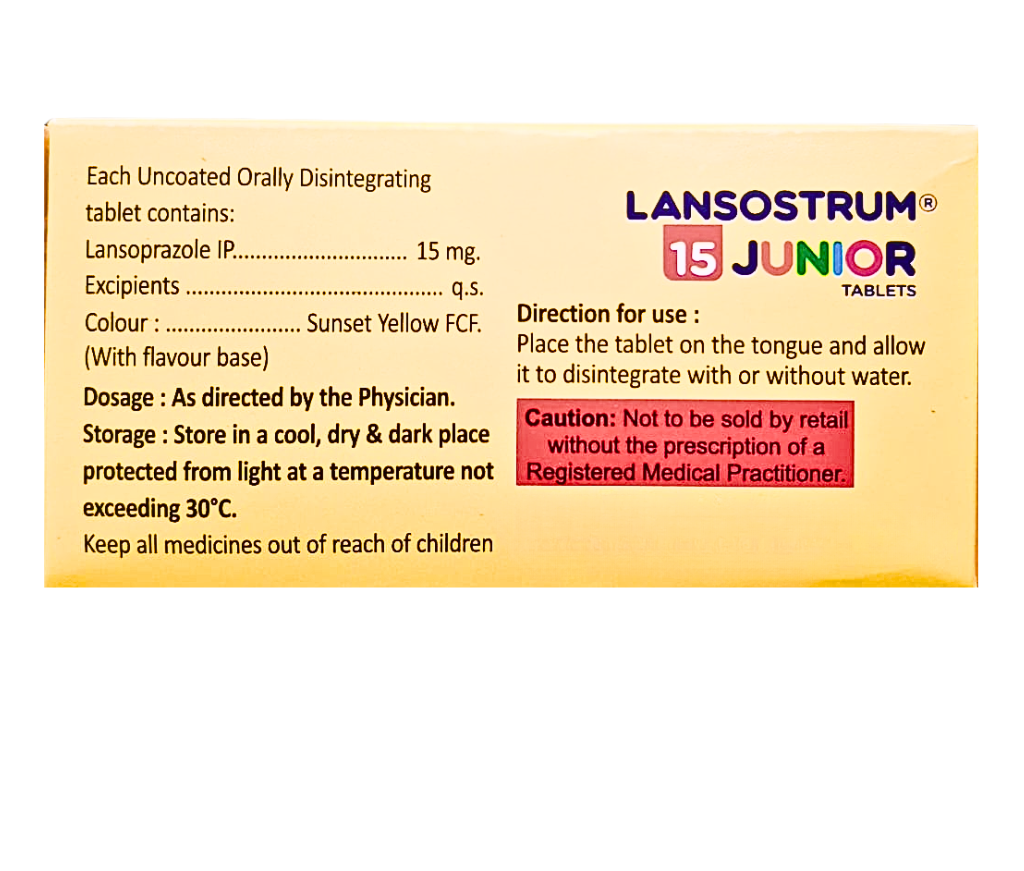 Lansostrum 15 Junior view 3