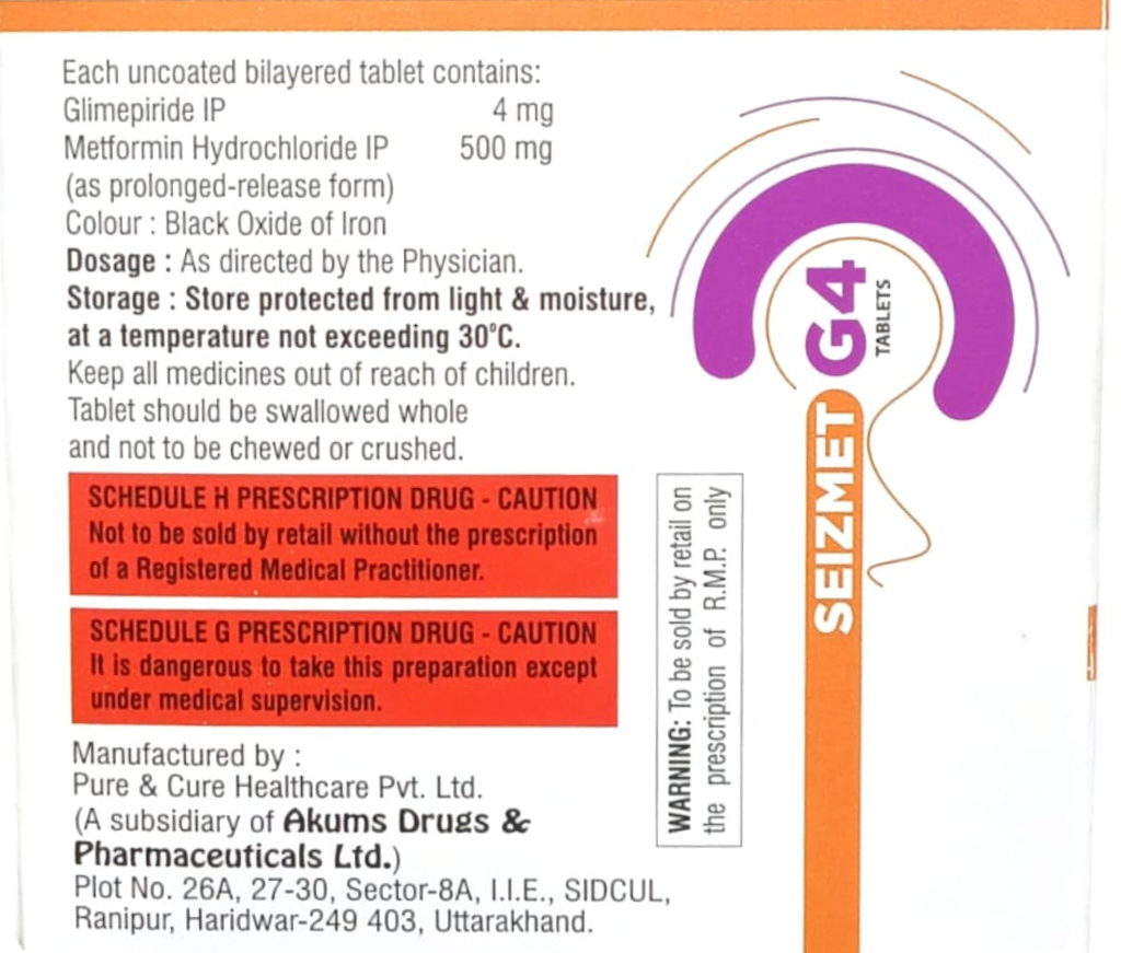 Seizmet G4 view 2