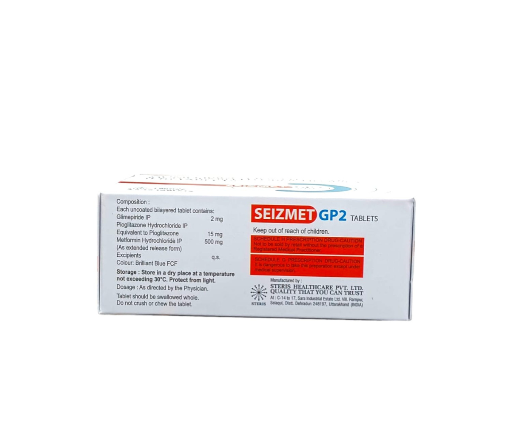 Seizmet Gp 2 view 2