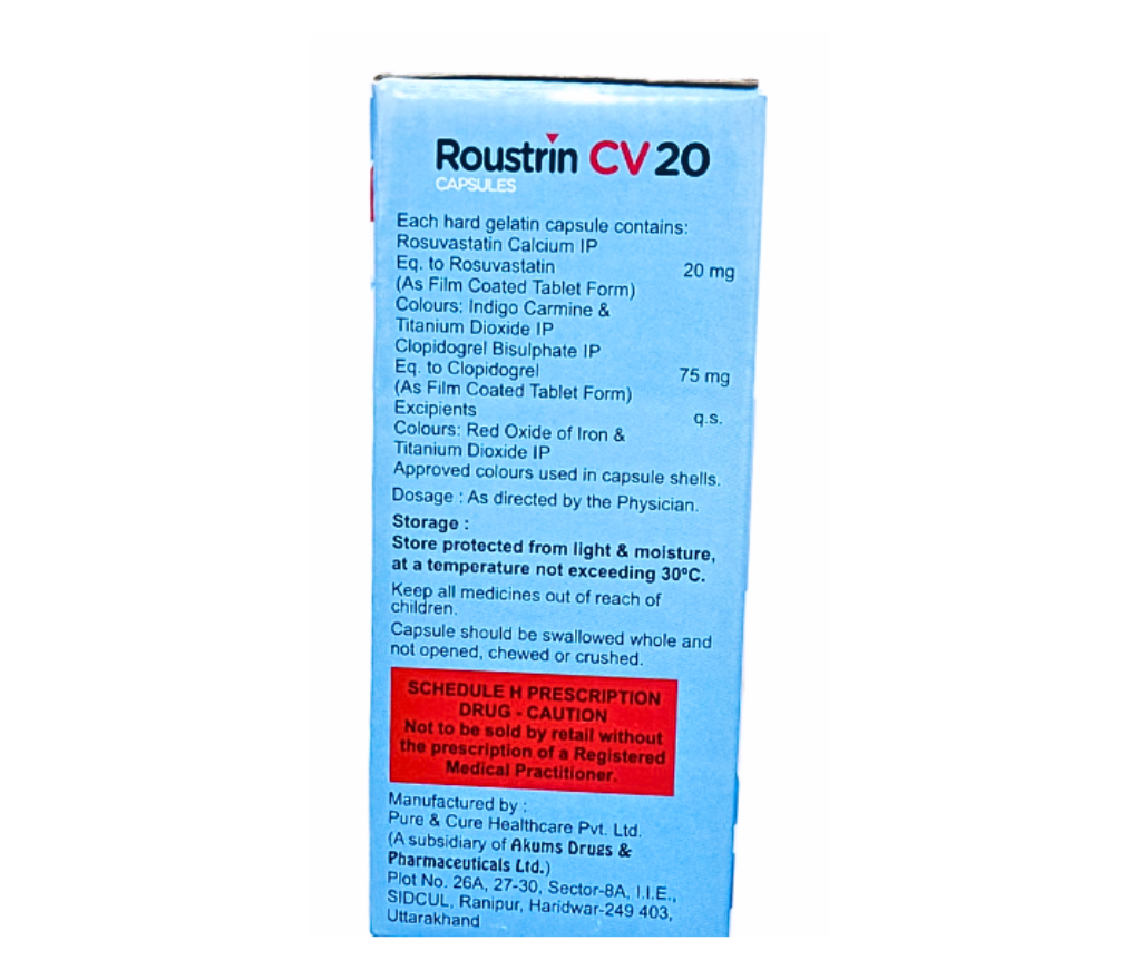 Roustrin CV 20 view 2