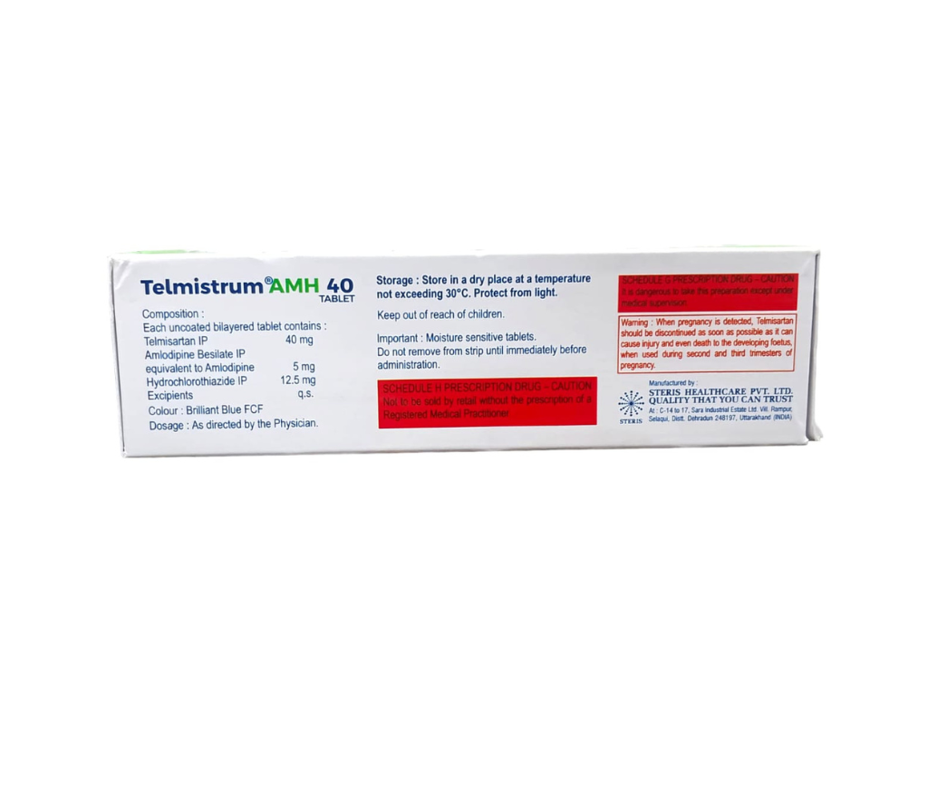 TELMISTRUM AMH 40 view 2