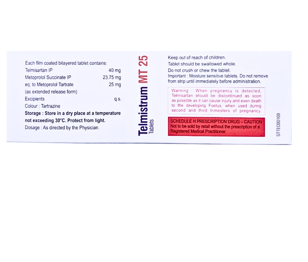 TELMISTRUM MT 25 view 3