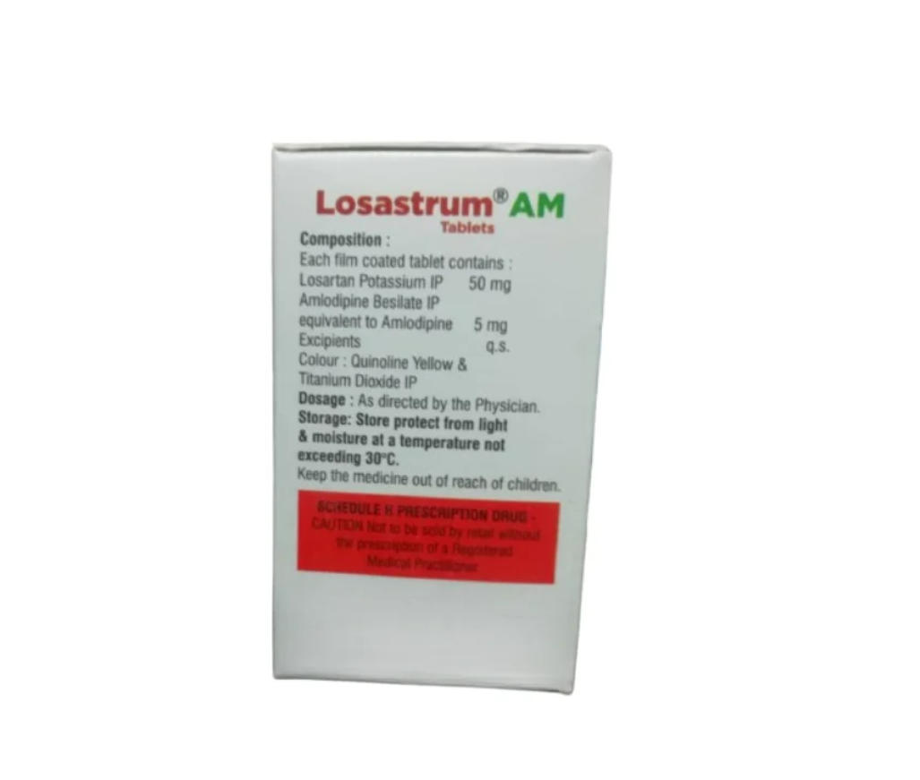 LOSASTRUM AM view 2