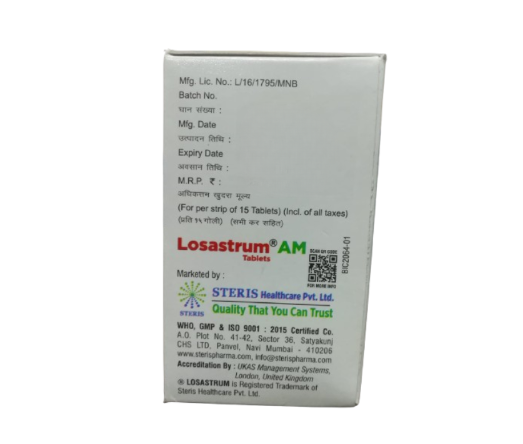 LOSASTRUM AM view 3
