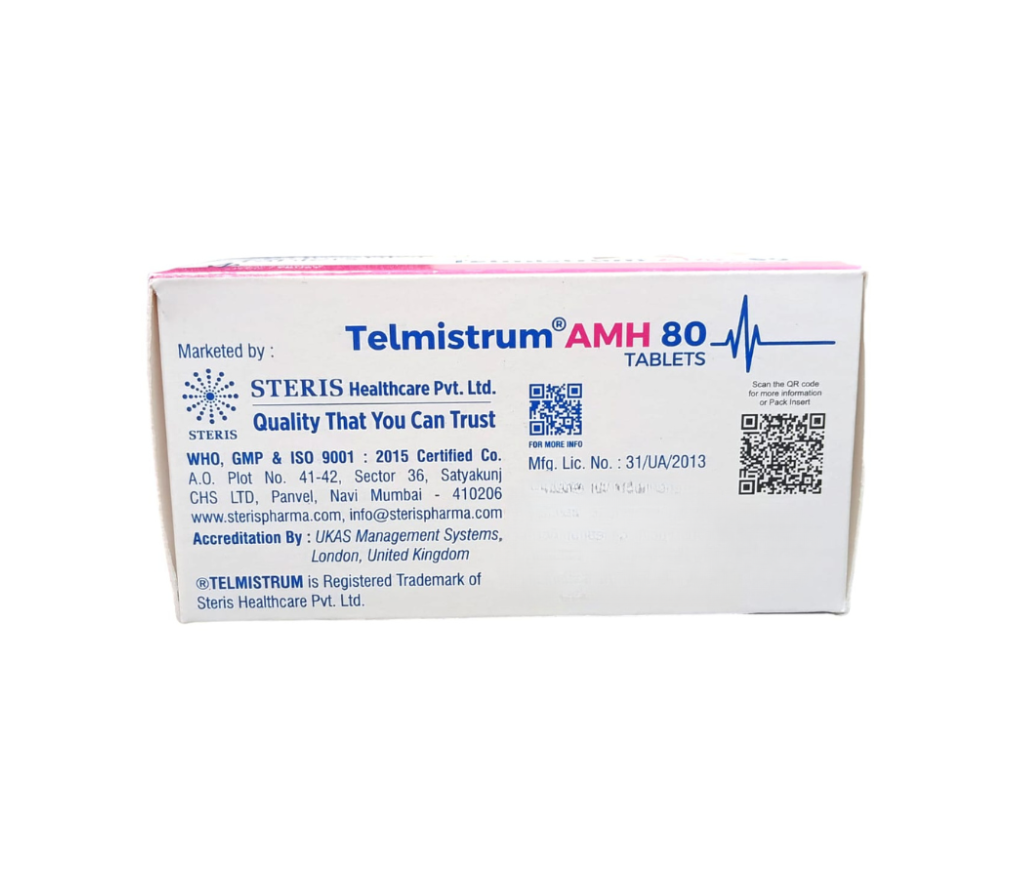 TELMISTRUM AMH 80 view 3